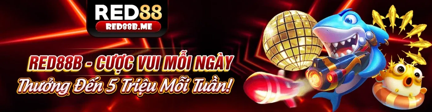 Hình ảnh chính blog cdbet link vào với các bài viết và tin tức